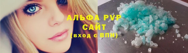 индика Медногорск