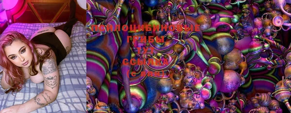 spice Мегион