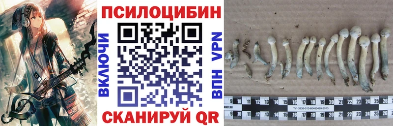 Галлюциногенные грибы мухоморы  Железногорск 
